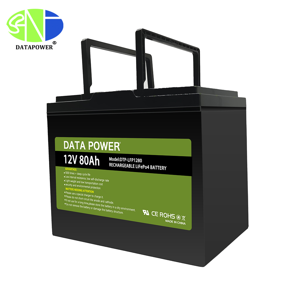 DTP-LFP1280  rechargeable LifePo4 Battery