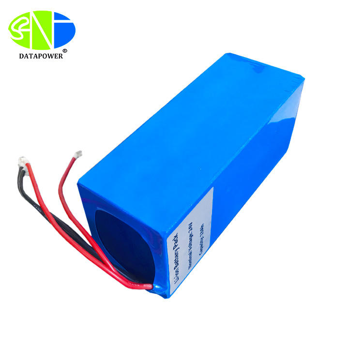 Customized dimension lithium ion battery 24 volt with BMS