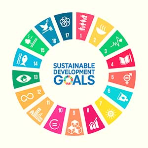 Sustainable Development Goals (SDGs) and Battery Technology: Empowering A Sustainable Future